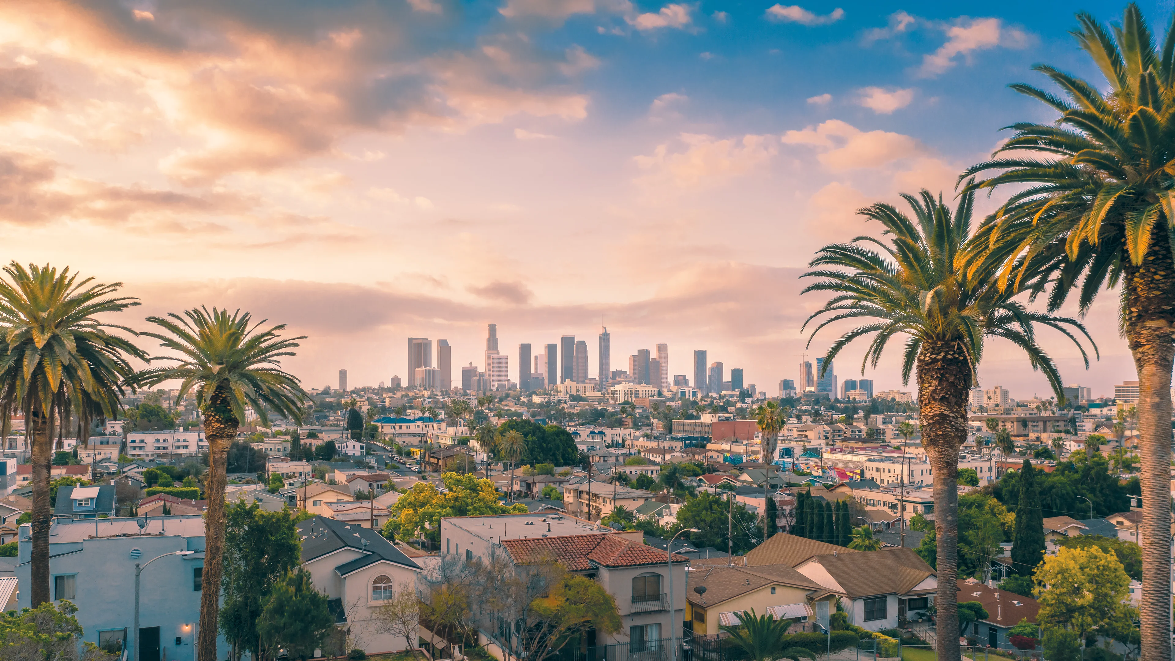 Los Angeles from Runyon Canyon Park picture 1 of 1