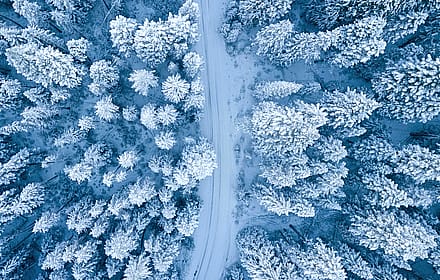 Aerial Wonderland: Snow-Covered Forest Path'