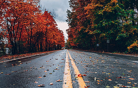 Autumn Road: A Journey Through the Fall Colors'