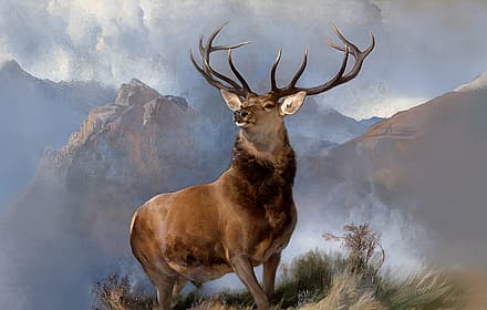 The Monarch of the Glen'