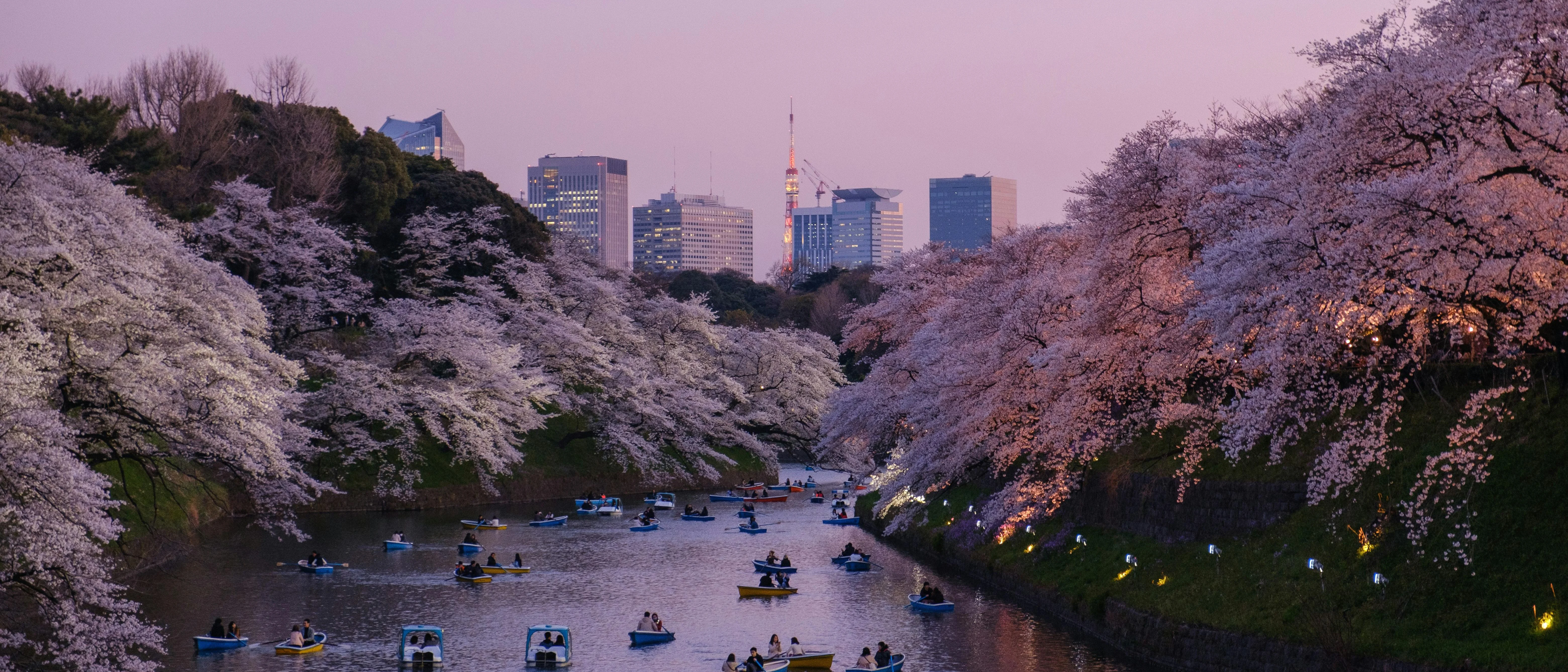 Japanese Ultrawides 21:9 picture 12 of 19