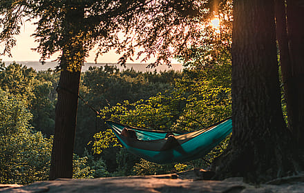 Sunset Vibes and Hammock Dreams'