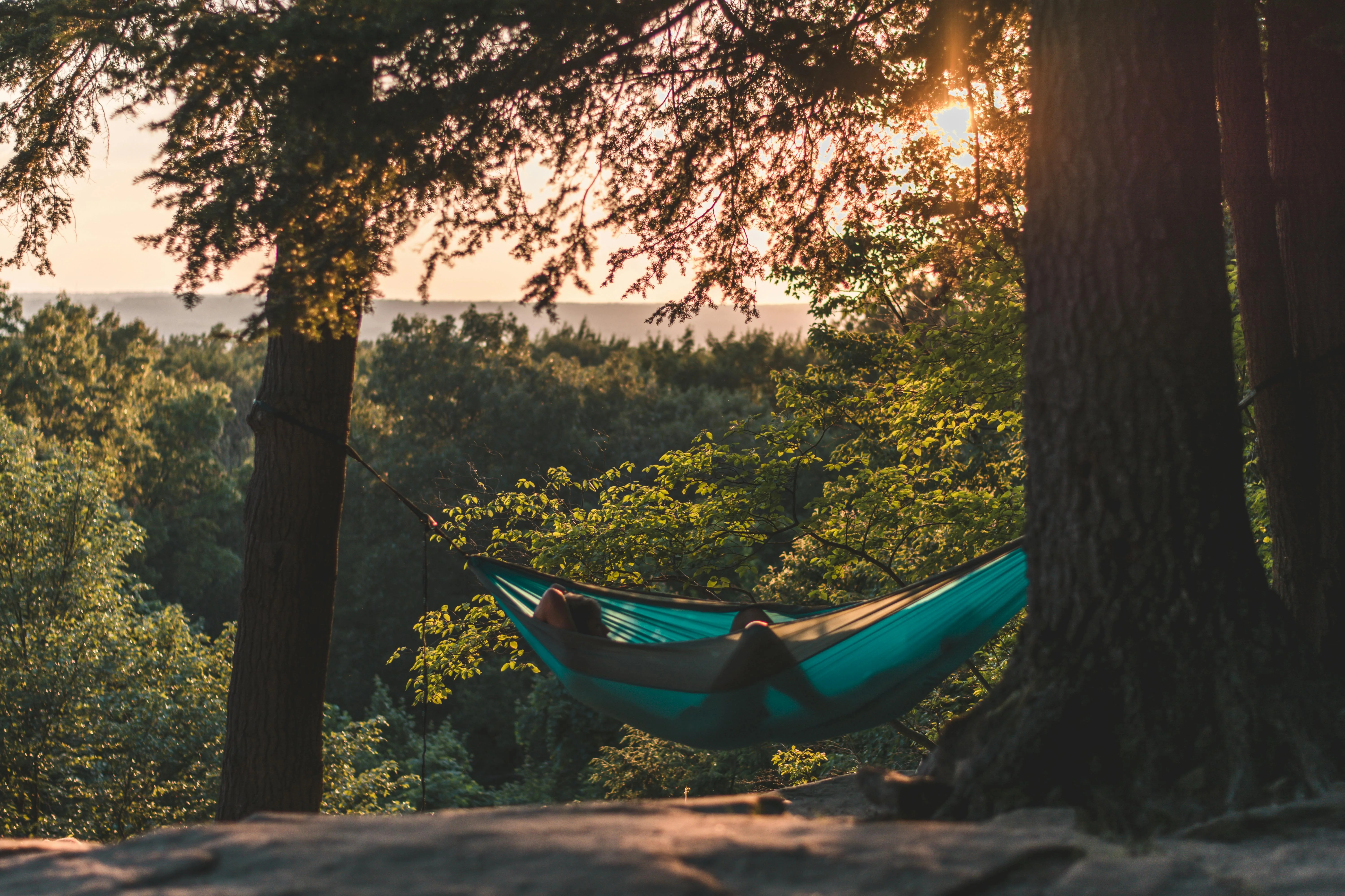 Sunset Vibes and Hammock Dreams picture 1 of 1