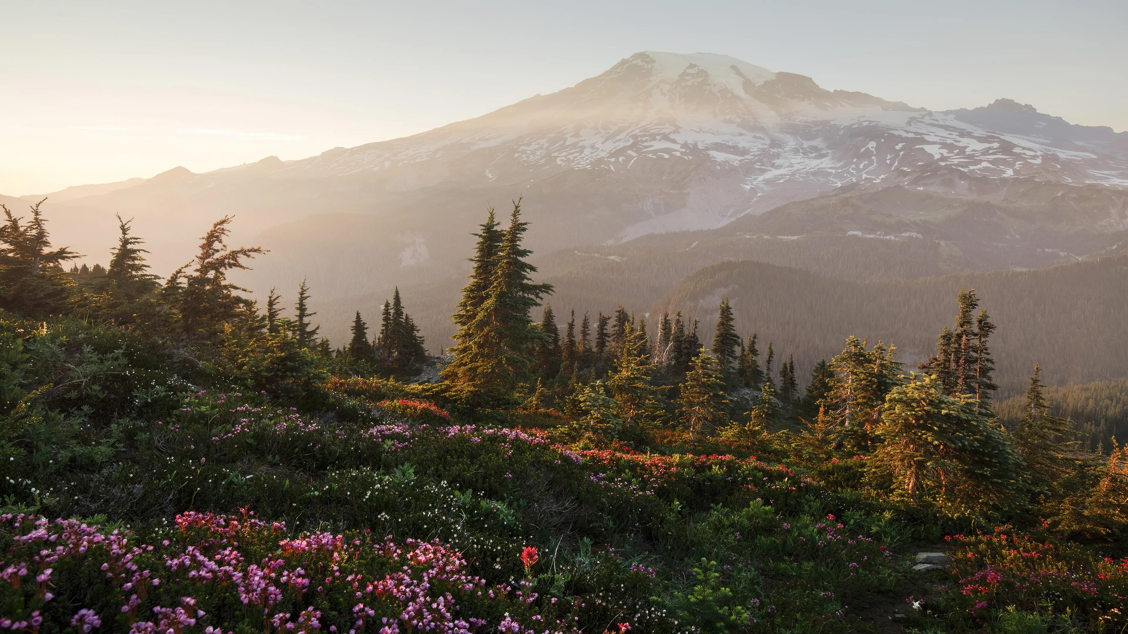 Mount Rainier National Park picture 1 of 1