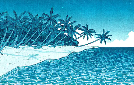 The need of the tropics in the early 2000s by Lorenzo D'Alessandro'