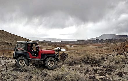 Leslie Gulch'