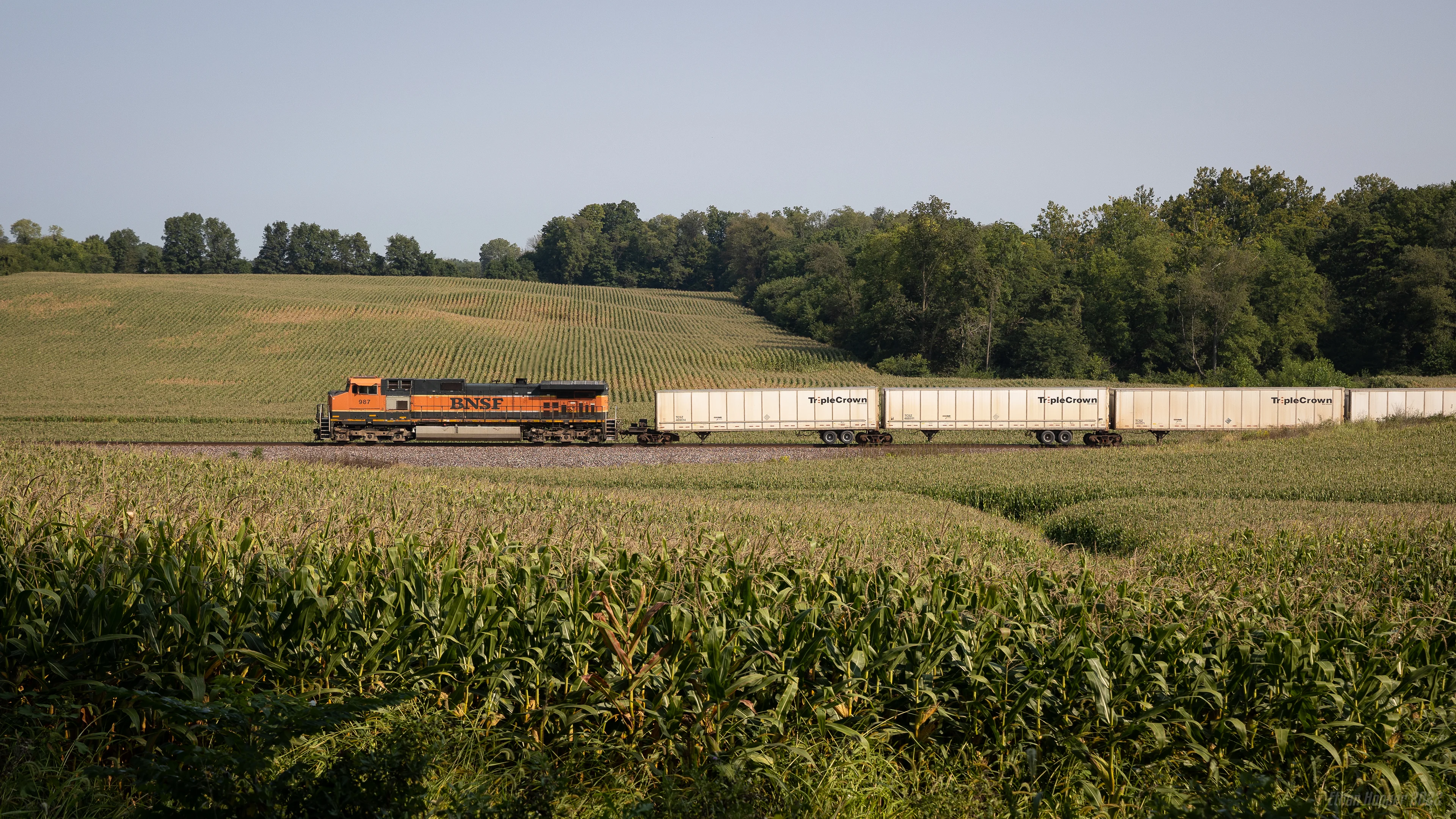 NS Triple Crown Roadrailer in New Waverly, Indiana picture 1 of 1