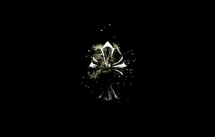Chrome Hearts Wallpaper Pack - Desktop + Phone'