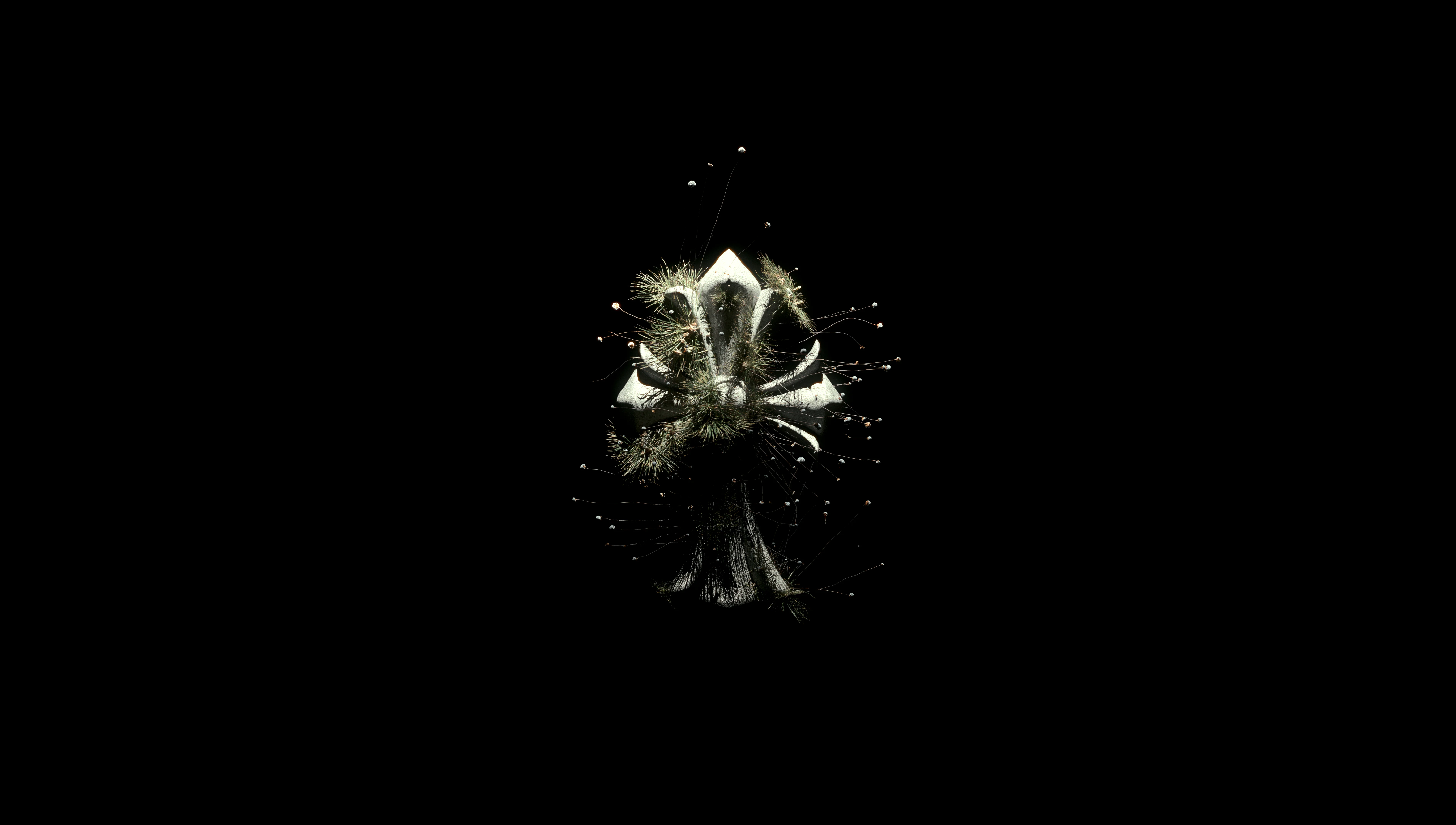 Chrome Hearts Wallpaper Pack - Desktop + Phone picture 1 of 9