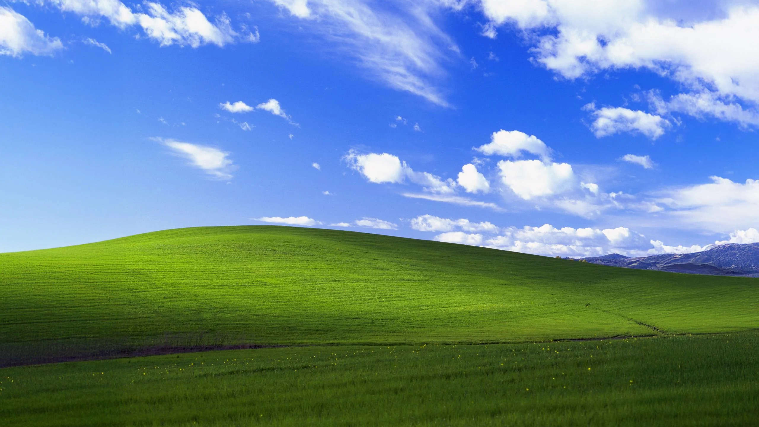 Windows XP Bliss extended 16:9 picture 1 of 1