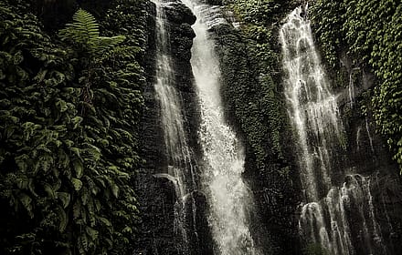 Bali Sekumpul Waterfalls 🌴'