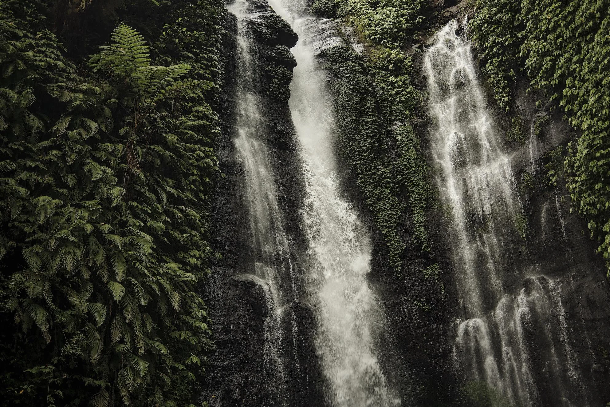 Bali Sekumpul Waterfalls 🌴 picture 1 of 1