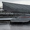 AmphibianOk7815
