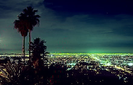 Night view from Mulholland Drive, Los Angeles, 1981'