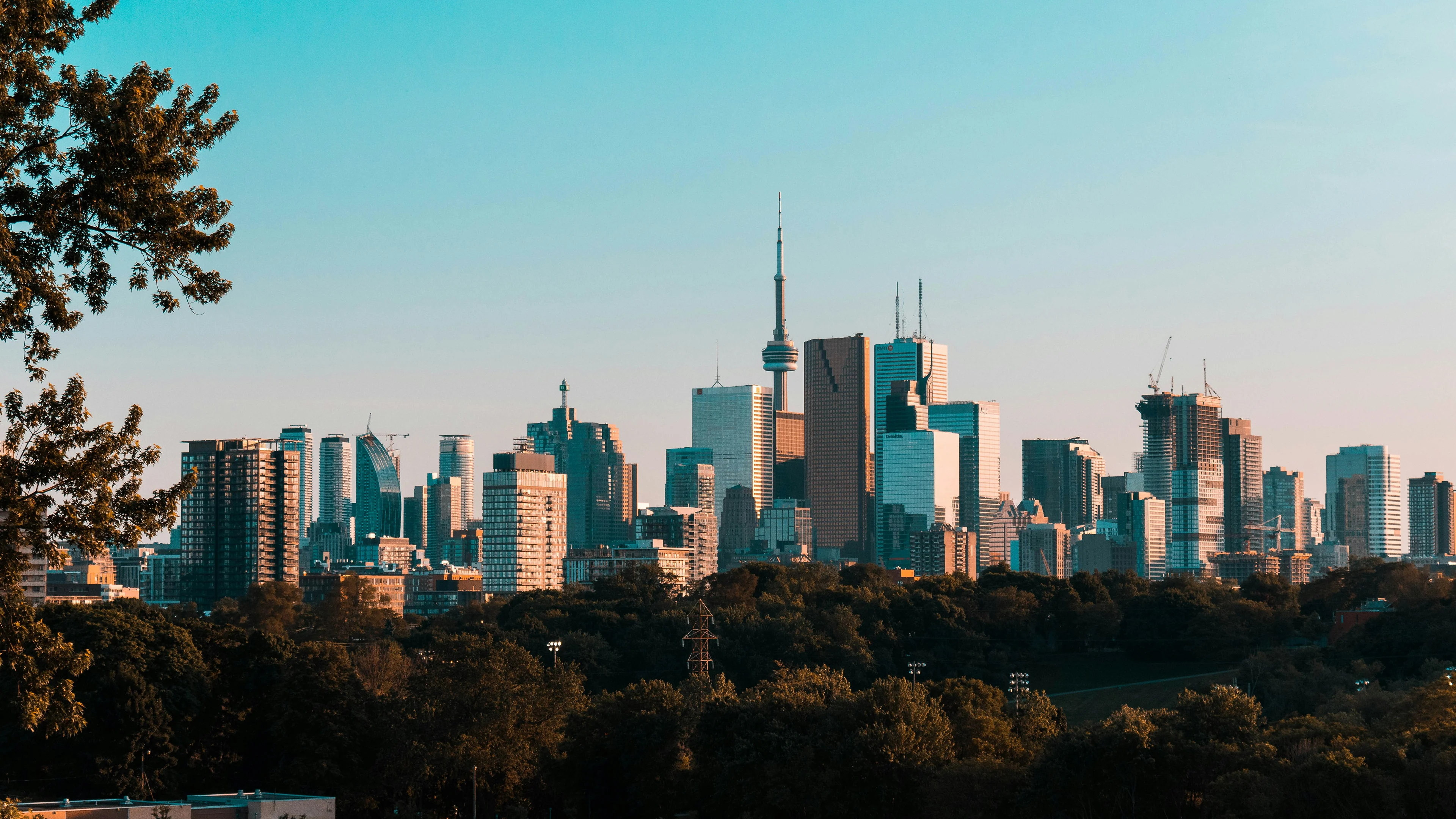 Various photos of Toronto picture 4 of 6