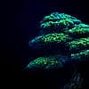 Flimsy_Method_3771
