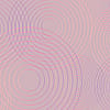 No-Use-7307
