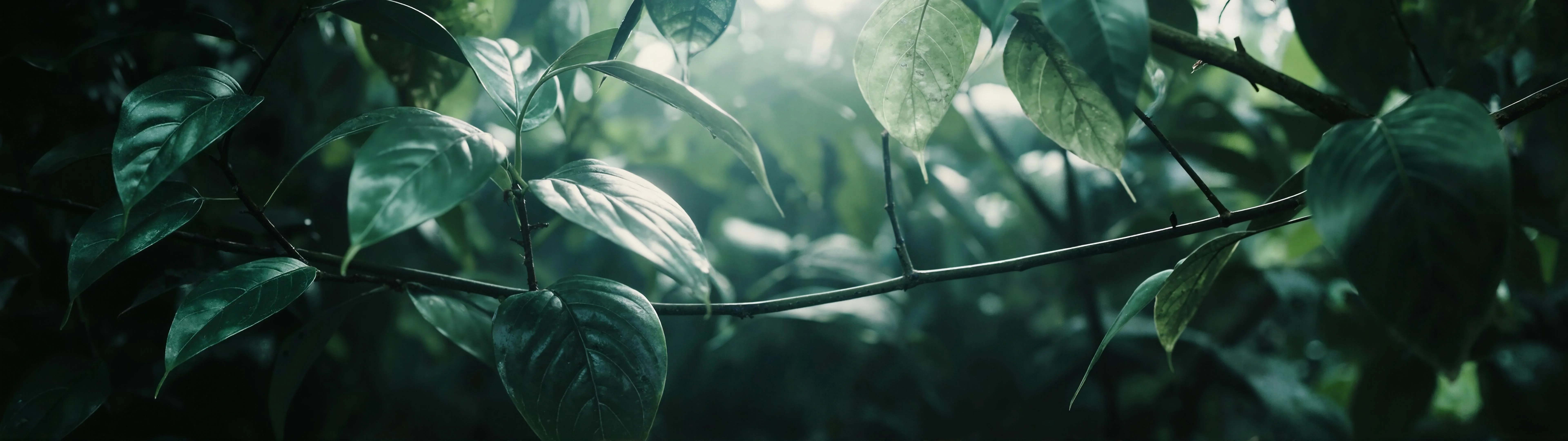 32:9 and 21:9 Wallpapers - via smart crop - 07/27 picture 17 of 20