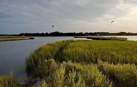 Pleasure House Nature Area, Virginia Beach, VA'