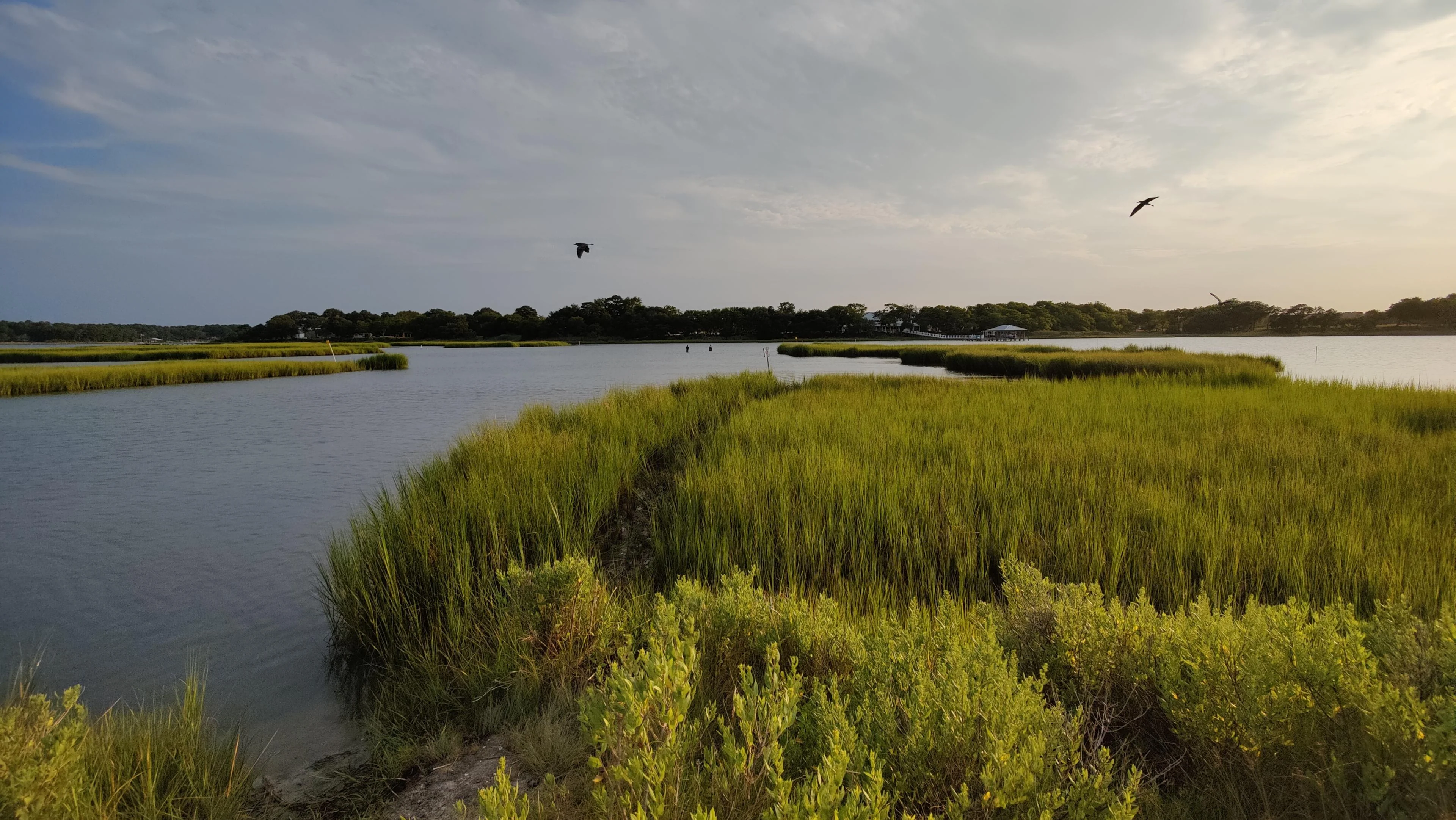Pleasure House Nature Area, Virginia Beach, VA picture 1 of 1