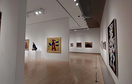 Dallas Museum of Art, 2018'