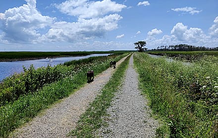 Mackay Island National Wildlife Refuge, North Carolina'