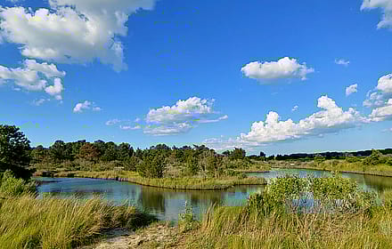 Pleasure House Nature Area, Virginia Beach, VA'