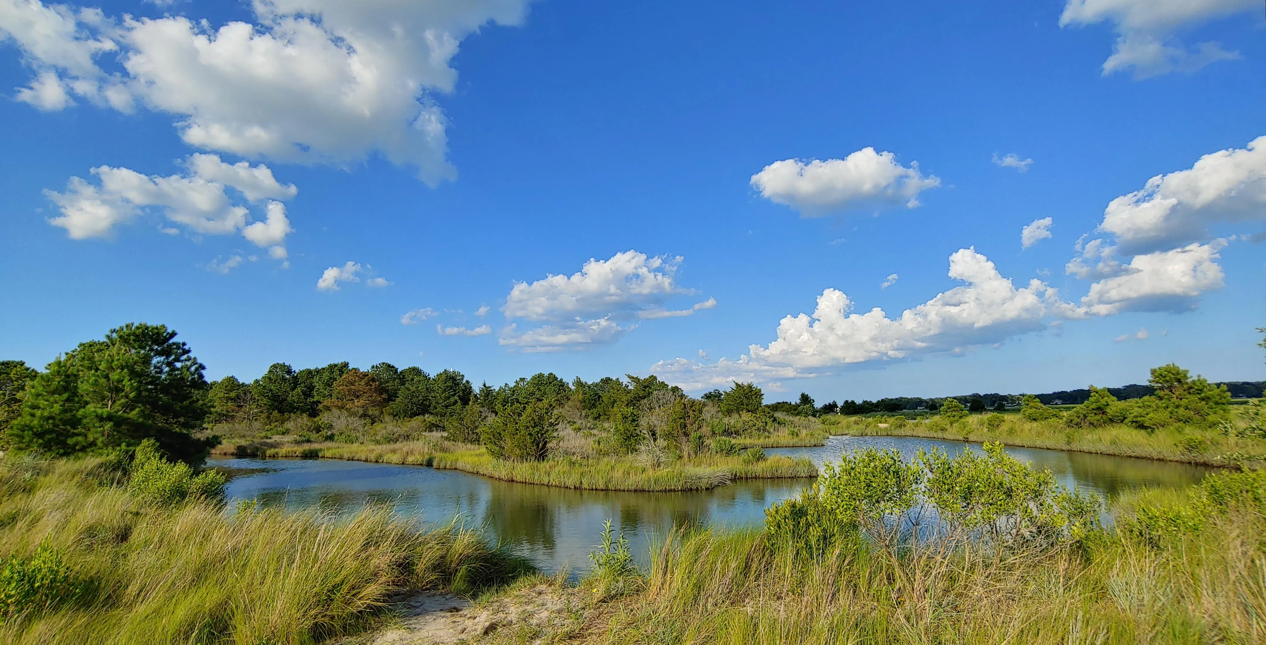 Pleasure House Nature Area, Virginia Beach, VA picture 1 of 1