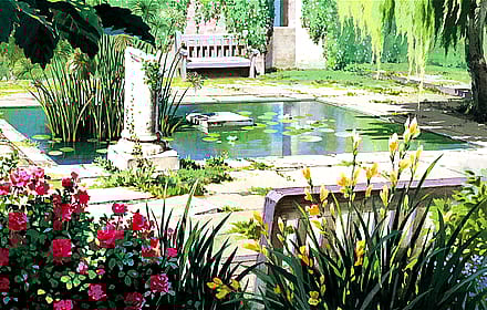 Abandoned Courtyard Garden'
