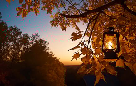 Autumn Sunset Wallpaper'
