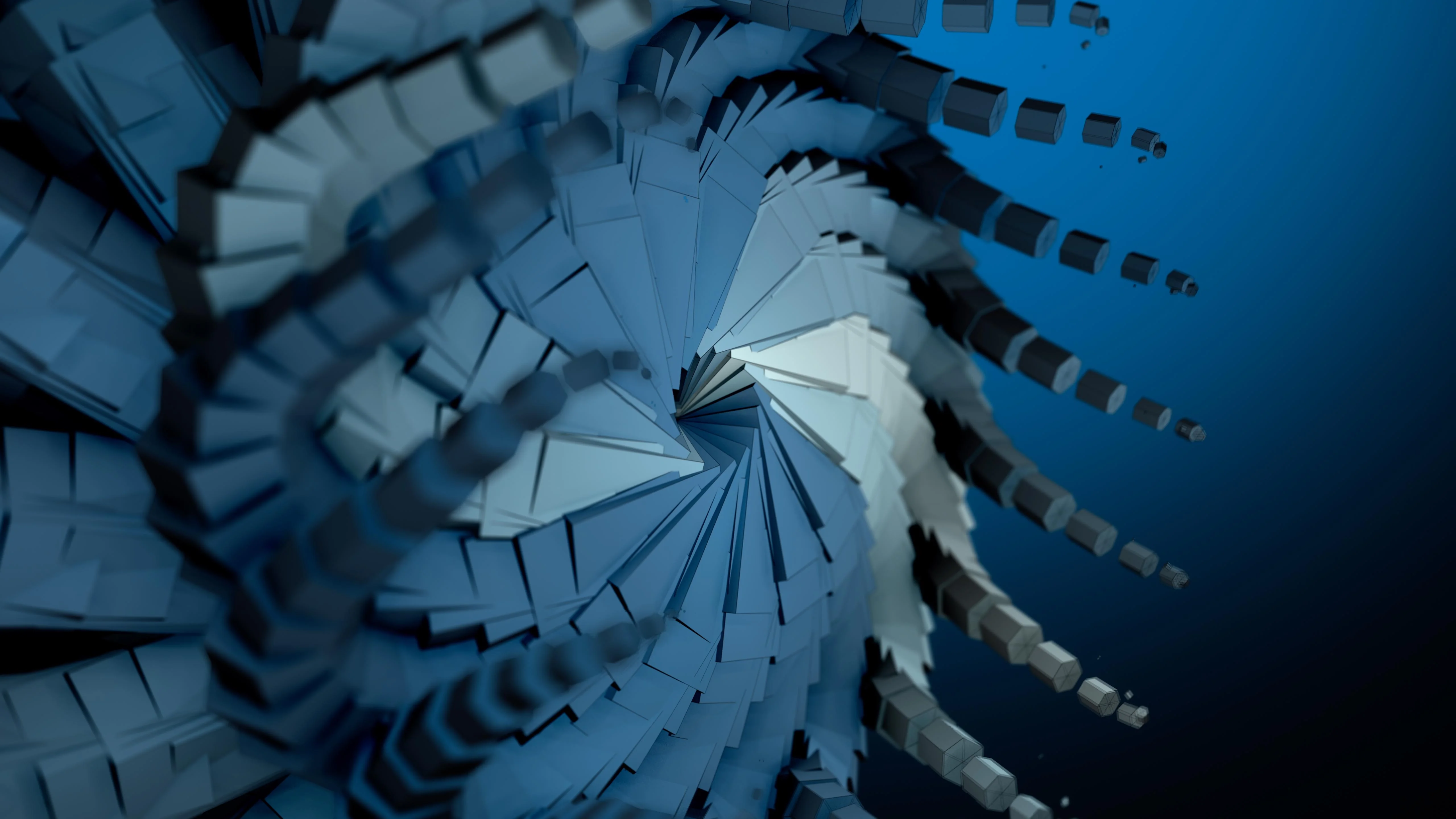Bloom Animated, seamlessly looping, version in the comments picture 1 of 1