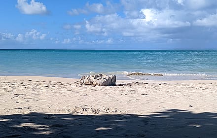 Caribbean Beach Wallpaper'