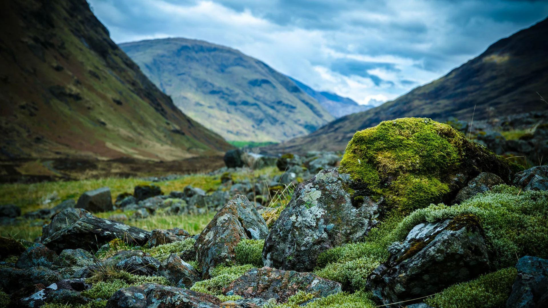 The Highlands - Scotland picture 1 of 1