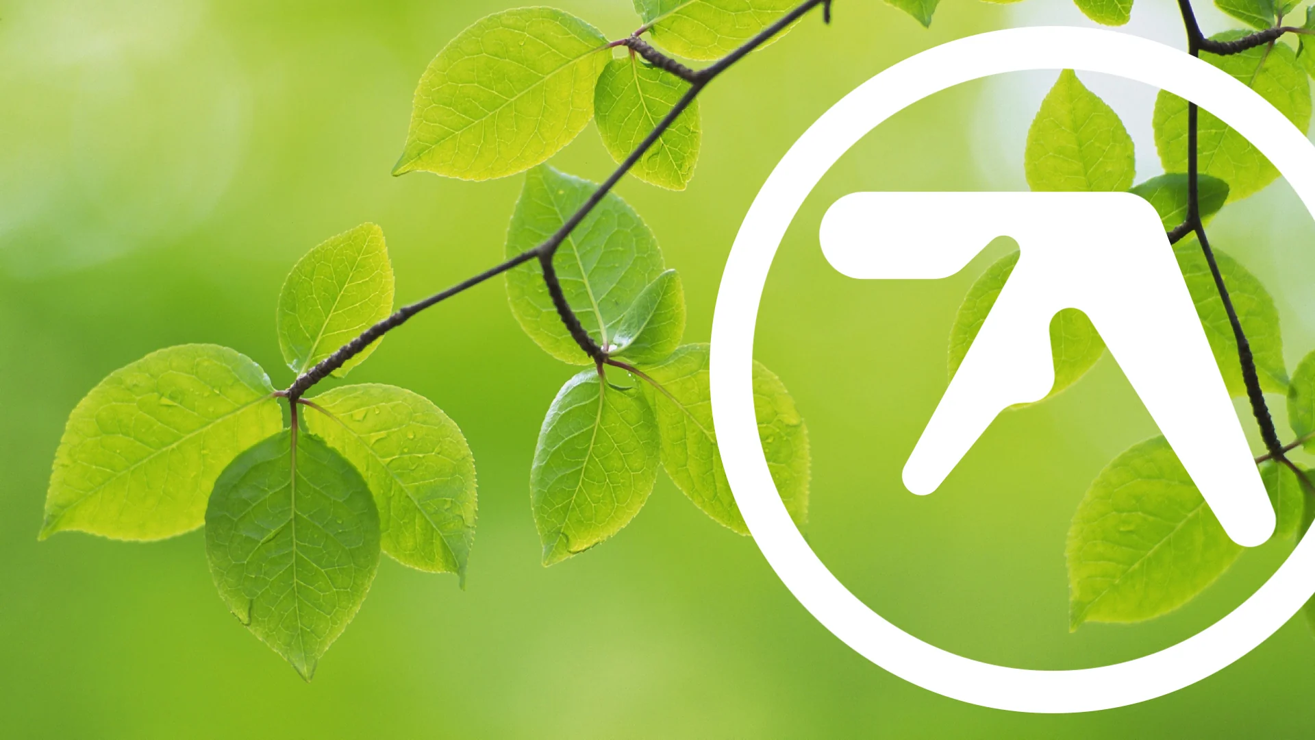 Couldn't find anything similar online so made this! picture 1 of 1