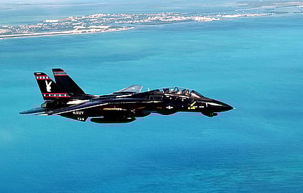 F-14 Tomcat with Black Bunny Livery'