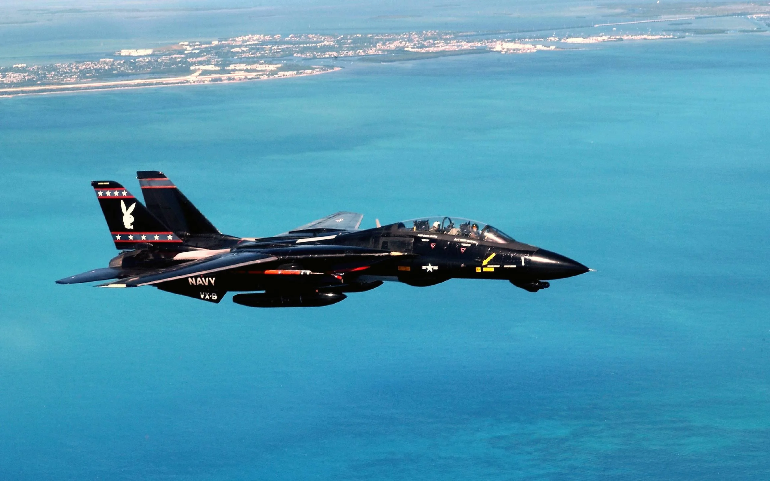 F-14 Tomcat with Black Bunny Livery picture 1 of 1
