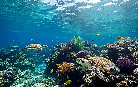 Beautiful view of the Ocean.'