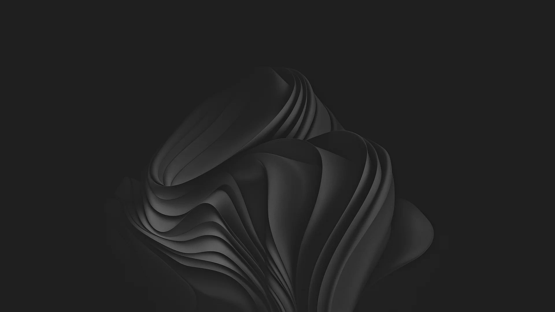 1920x1080 | Wither rose picture 1 of 1