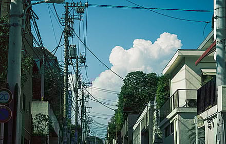 Summer? by @megane_wakui'