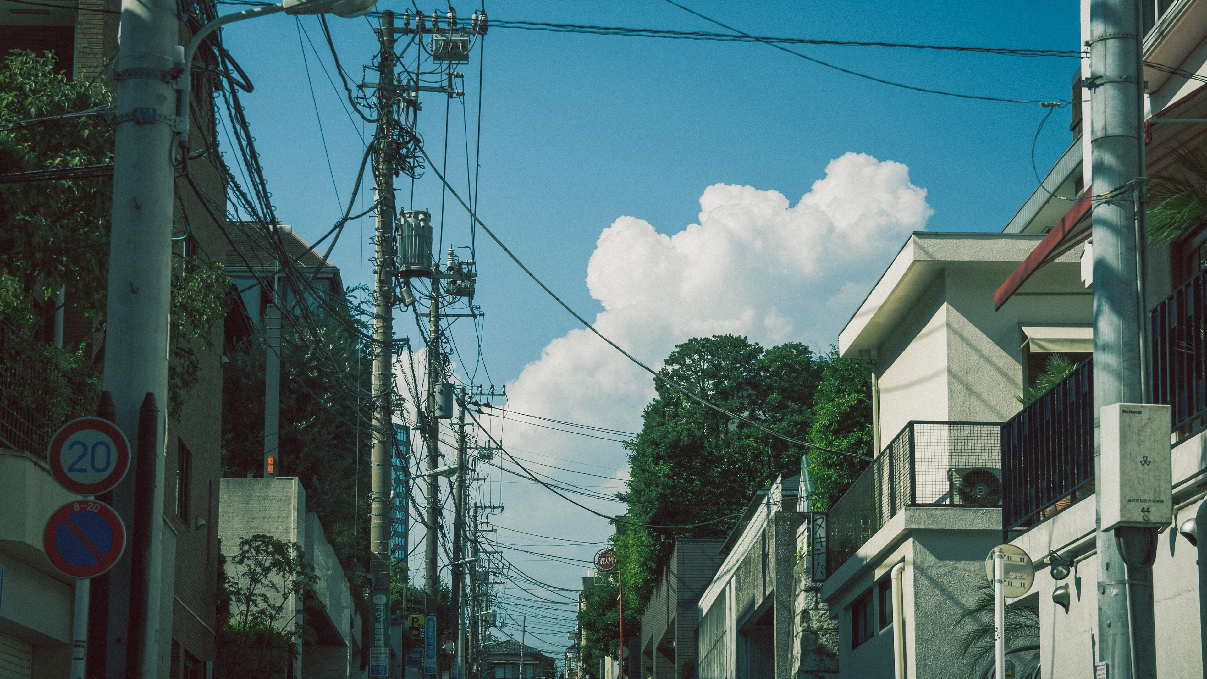 Summer? by @megane_wakui picture 1 of 1