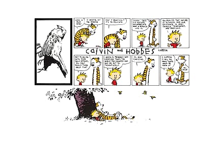 The best Calvin and Hobbes Sunday strip'