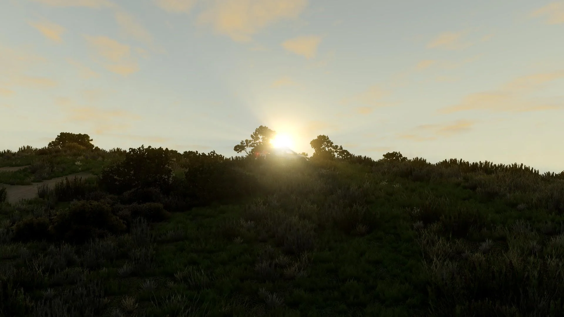 Just wanted to share this shot i made in Beamng, i think it works great as a wallpaper too! picture 1 of 1