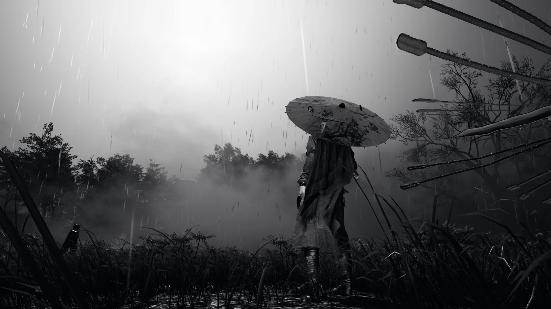 Wallpaper worthy? picture 1 of 1