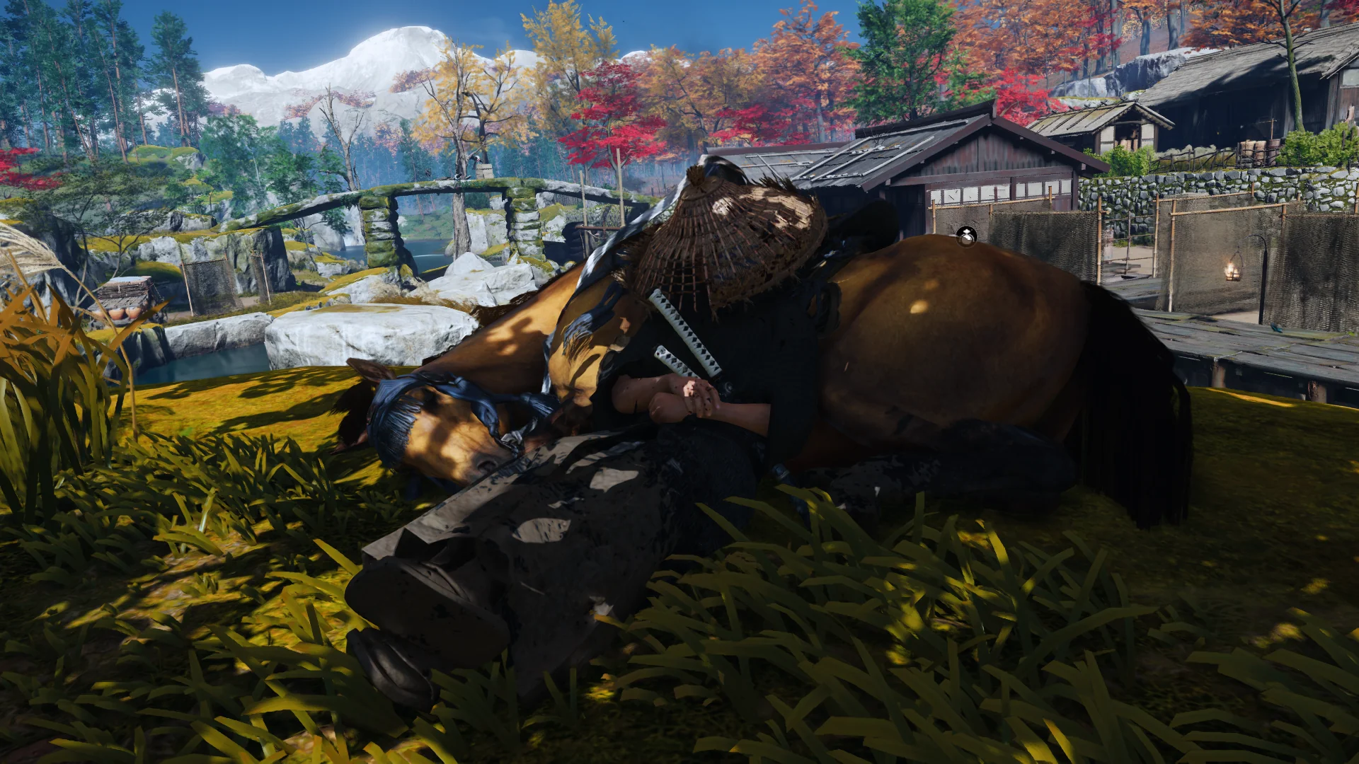 Ghost of Tsushima picture 1 of 1