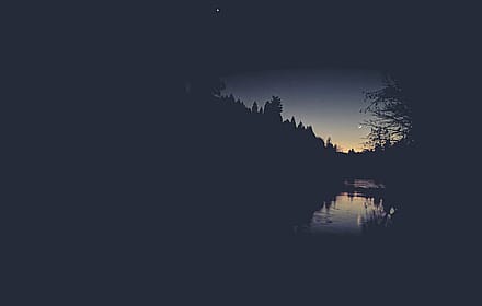 The Linus Torvalds wallpaper, but make it nord.'