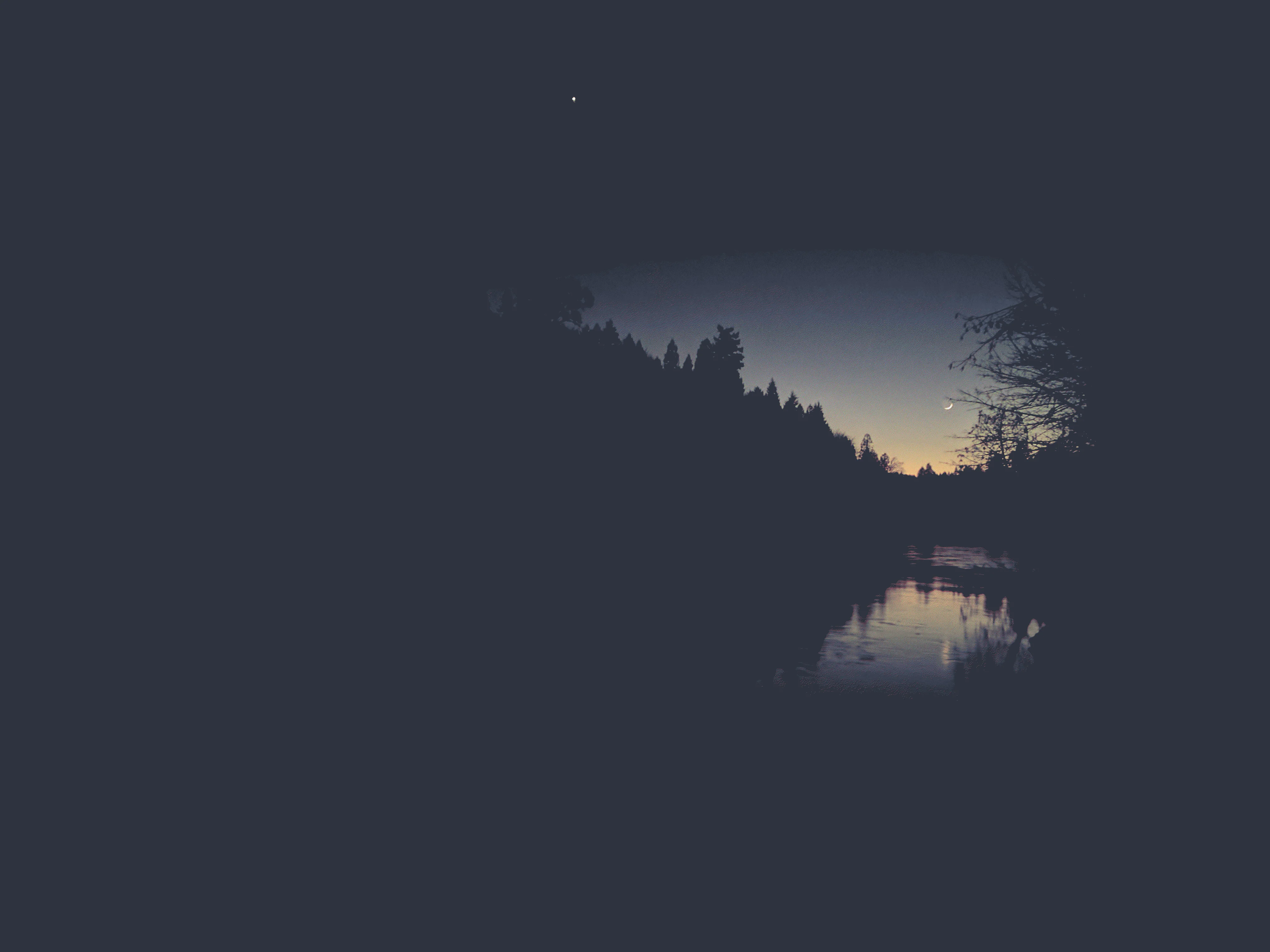 The Linus Torvalds wallpaper, but make it nord. picture 1 of 1