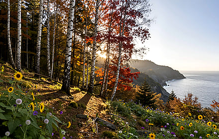 Serenity's Overlook'