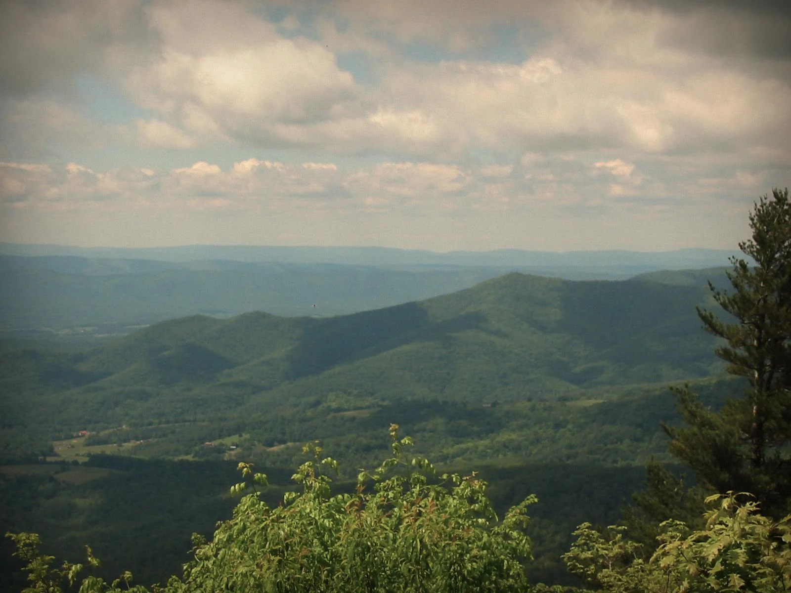 Took this with an old camera a long time ago picture 1 of 1