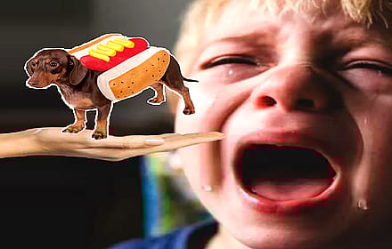 no rules about meme wallpapers'