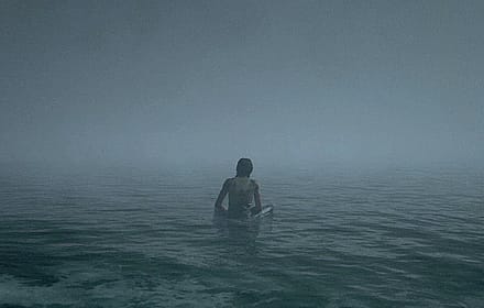 anybody got live wallpaper of this? tlou2'